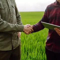 Dwóch rolników na polu omawia umowę dzierżawy gruntu. Ustalają, kto płaci podatek od dzierżawy gruntu.
