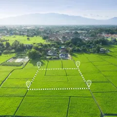 Ile kosztuje odrolnienie działki klasy 3? Sprawdź ukryte koszty!