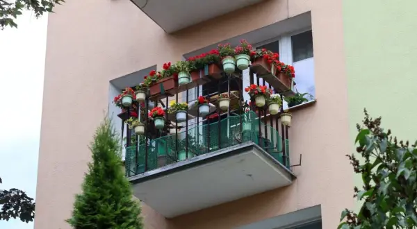 Kwiaty na balkonie dostawnym. Cena takiej konstrukcji może być różna, ale efekt jest piękny.